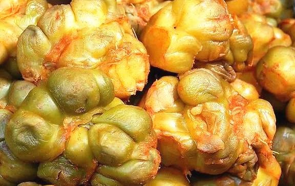 四川美食真的是太让人无法自拔了,四川很少人知道的美味