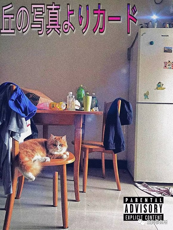 为什么猫能够让一个人的心情变好,猫能使人成熟的从来不是岁月