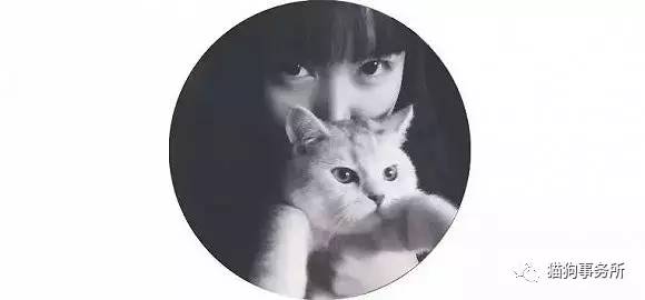 为什么猫能够让一个人的心情变好,猫能使人成熟的从来不是岁月