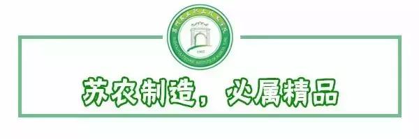 邂逅苏农,苏农视频