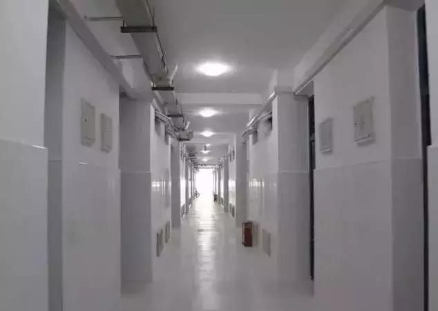 邂逅苏农,苏农视频