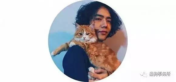 为什么猫能够让一个人的心情变好,猫能使人成熟的从来不是岁月