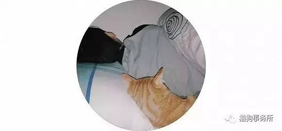 为什么猫能够让一个人的心情变好,猫能使人成熟的从来不是岁月