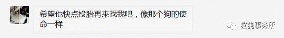 为什么猫能够让一个人的心情变好,猫能使人成熟的从来不是岁月