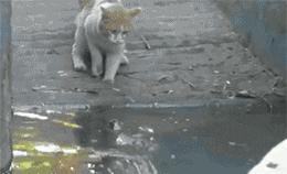 大爷的遮阳工具堪称完美，整体搭配又如此清新脱俗