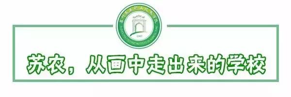 邂逅苏农,苏农视频