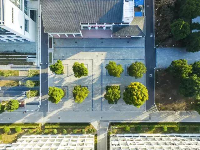 邂逅苏农,苏农视频