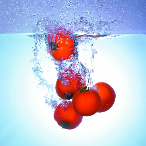 打坐养生要注意哪些,打坐饮食