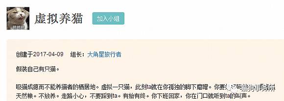 为什么猫能够让一个人的心情变好,猫能使人成熟的从来不是岁月