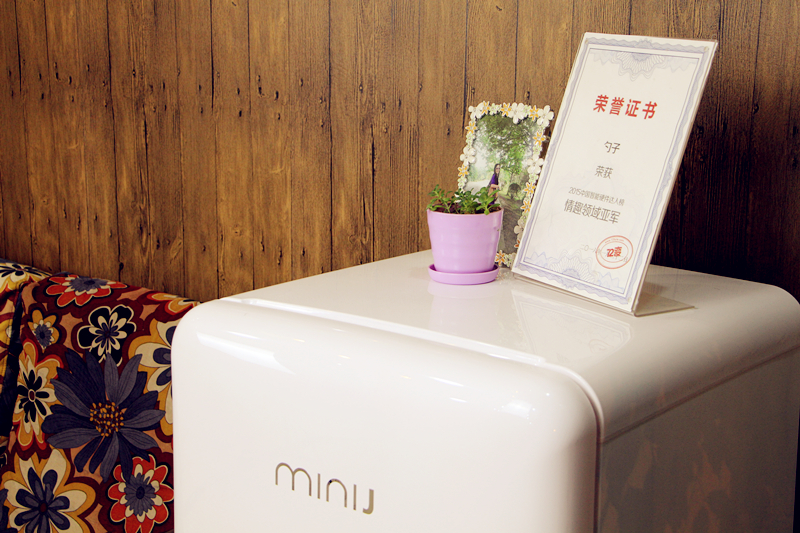 复古小冰箱哪个品牌好用性价比高,双门复古小冰箱测评