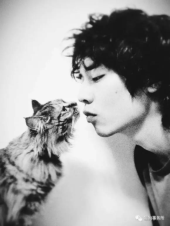 为什么猫能够让一个人的心情变好,猫能使人成熟的从来不是岁月