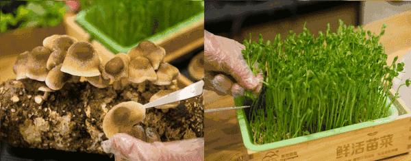 宝宝便秘了该怎么办,脾胃虚便秘的宝宝该怎么调理