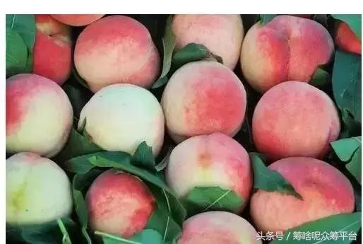 毛桃很好吃，如何清洗干净方便呢？