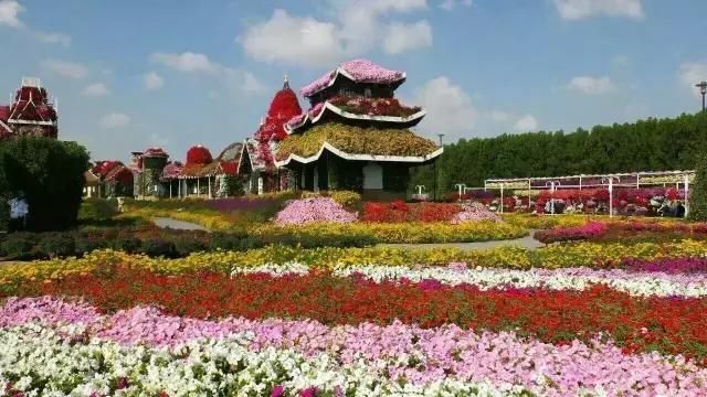 卓越与豪华的代名词—迪拜