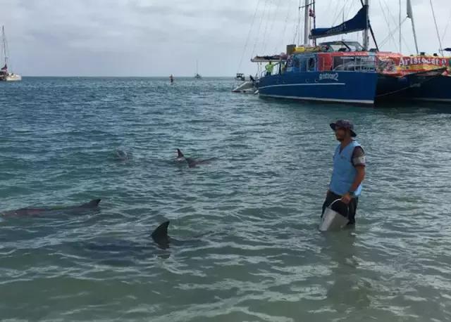 西澳珀斯游记,西澳游记攻略