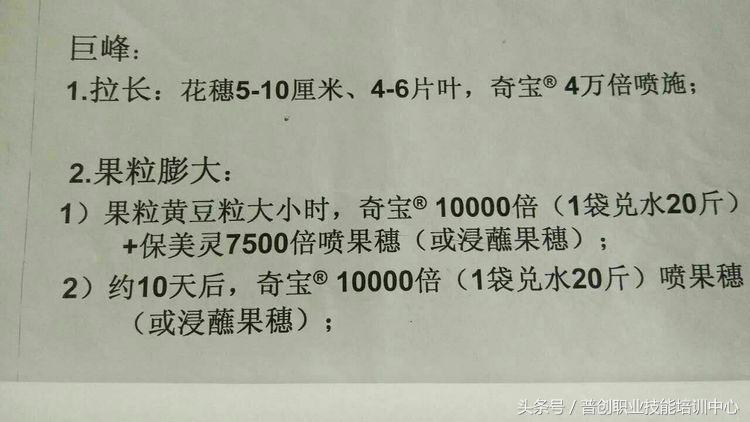 葡萄种植管理技术唐老师,如何管理葡萄才能高产的技术