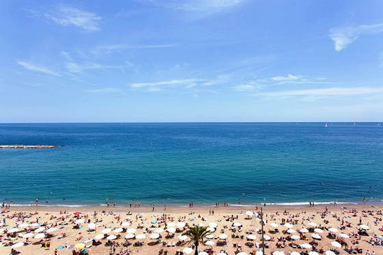 巴塞罗那，一座让人忍不住尖叫的城市