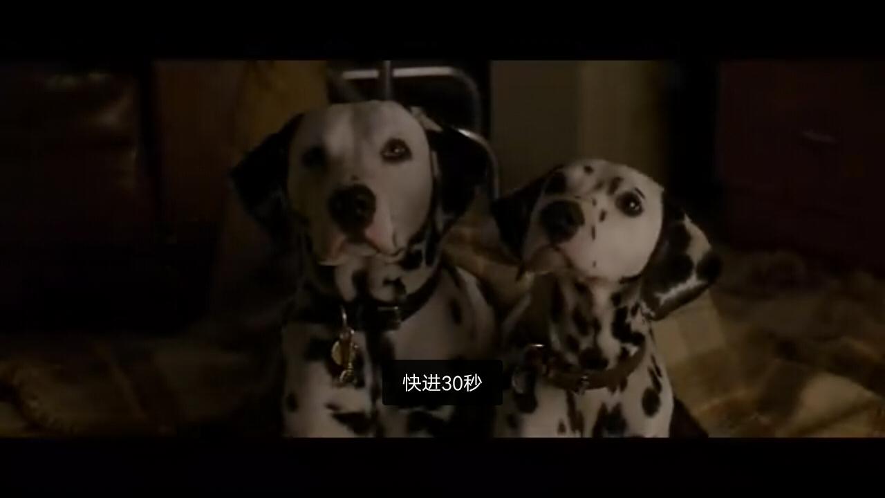 盘点狗狗的演技到达巅峰,泪目这只狗狗的演技也太好了吧