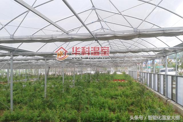 河南新型薄膜温室大棚建造,新型薄膜温室大棚报价