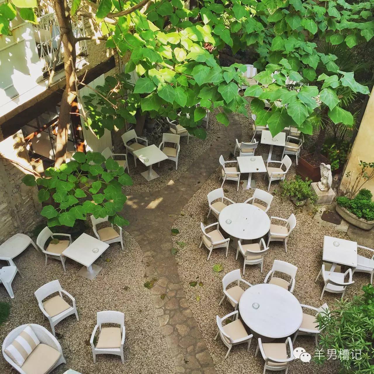 美人鱼里的红酒叫什么名字,美人鱼红酒罗曼尼康帝