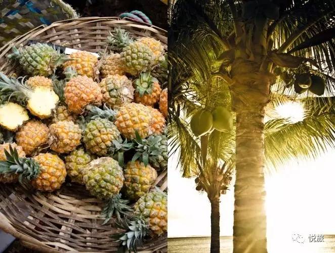 毛里求斯免签,毛里求斯在中国免签停留时间