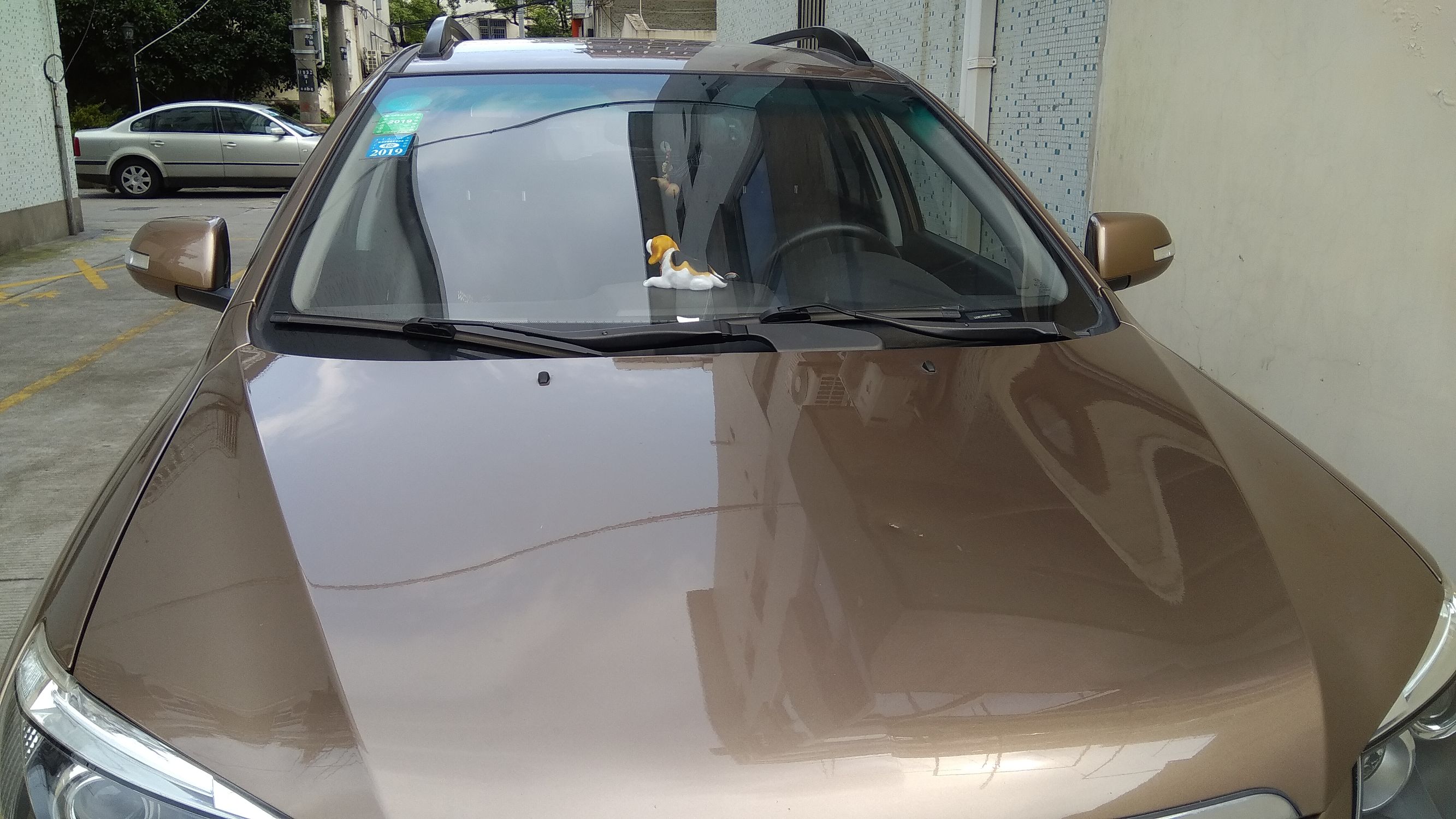 一人一狗一车的旅行视频,一人一车一狗去自驾