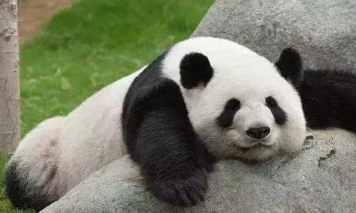 鍗佸ぇ蹇呬拱濂宠搴楅摵,鏌愬疂濂宠