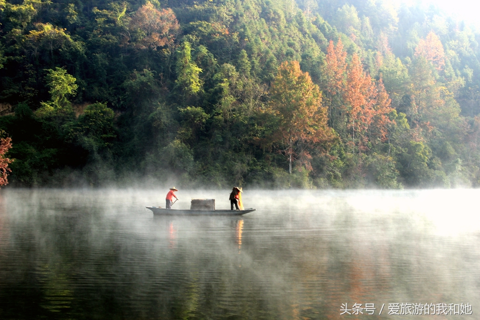 广东有哪几个是世界长寿之乡,广东长寿之乡名单一览表