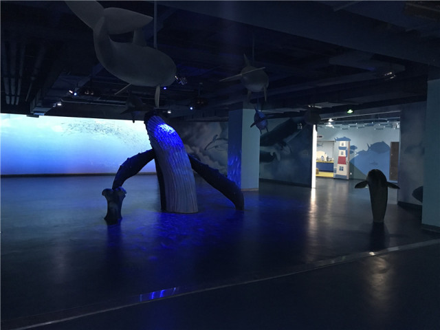 沈阳水上乐园七星海世界怎么样,沈阳七星海世界亲子主题乐园冲浪