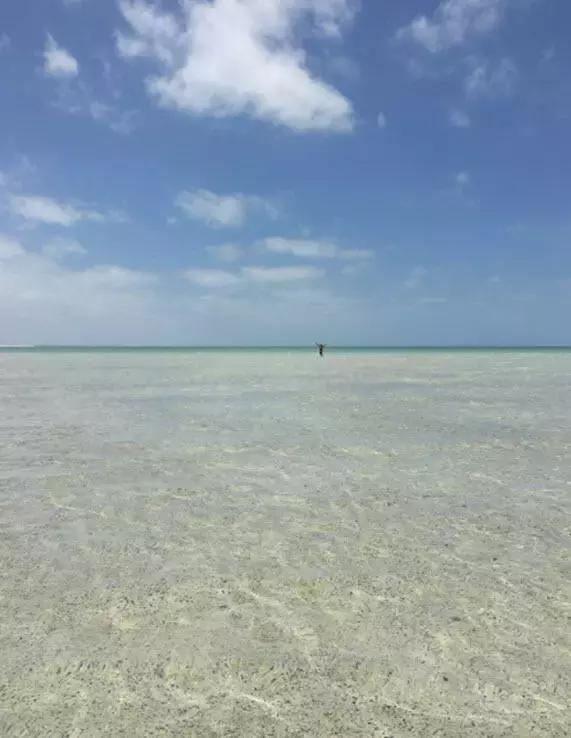 西澳珀斯游记,西澳游记攻略