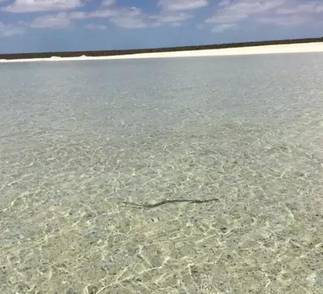 西澳珀斯游记,西澳游记攻略