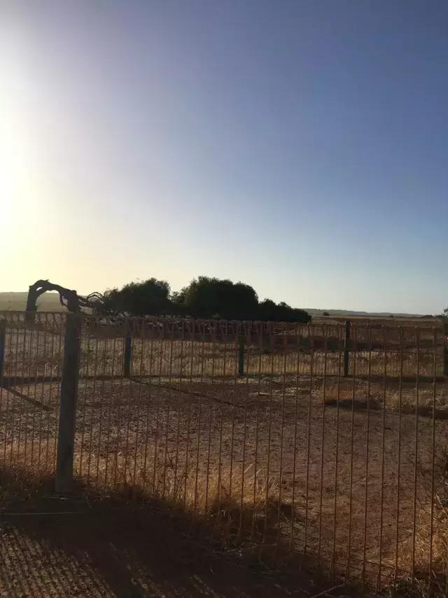 西澳珀斯游记,西澳游记攻略