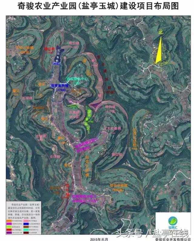 林农奇骏农业这里的桃子吃起来就像小时候的味道，忘不了……