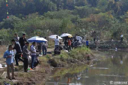 “*战野**”你到底会不要？是不是一直在孤战？