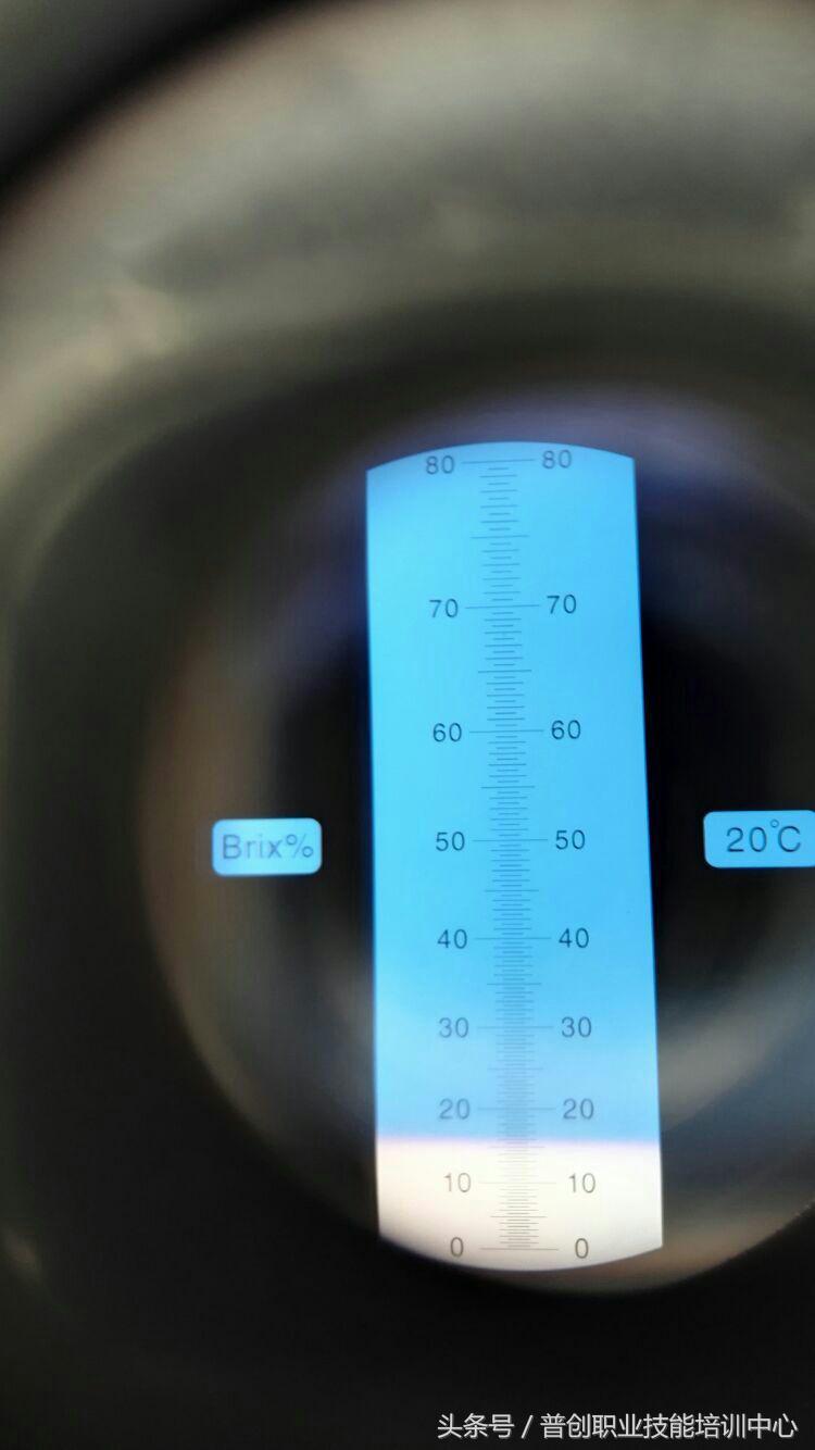 葡萄种植管理技术唐老师,如何管理葡萄才能高产的技术