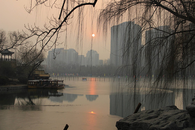 姜紫雅回家（下）