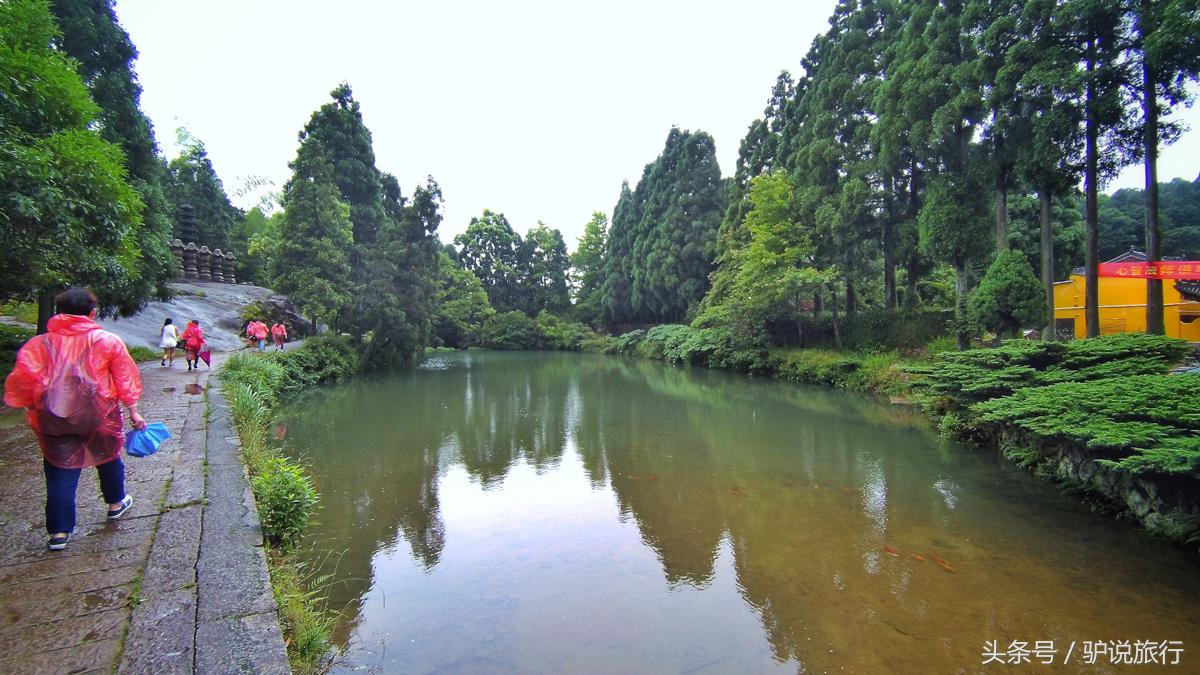 苍南南大门在灵溪哪里,浙江苍南属于南方还是东方