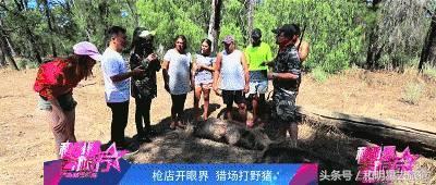 和明星去旅行悉尼,和明星去旅行第二季第七集