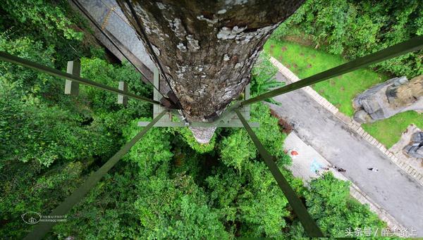 西双版纳在水一方泼水节,版纳哪里能够感受泼水