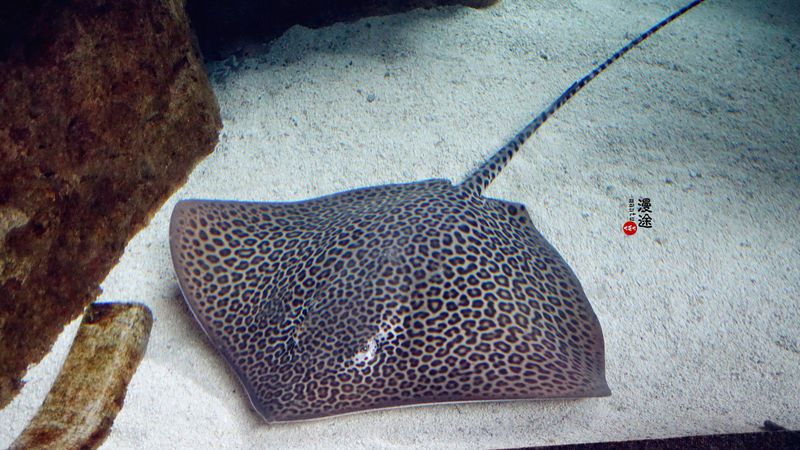 长隆亲子两大两小旅游攻略,珠海长隆横琴湾酒店亲子攻略