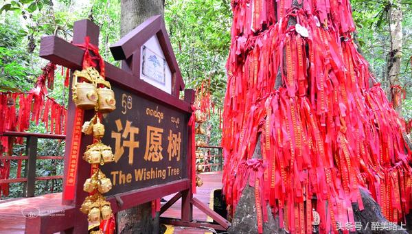 西双版纳在水一方泼水节,版纳哪里能够感受泼水