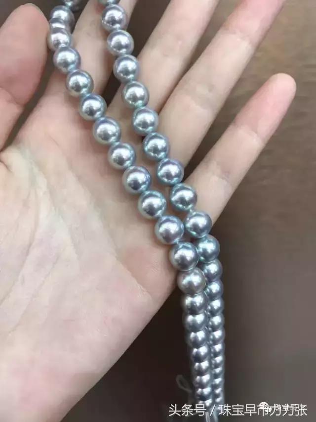 真正的野生珍珠图片,野生珍珠贵吗