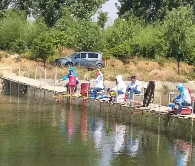 南阳古镇钓鱼比赛冠军,南阳行营钓具