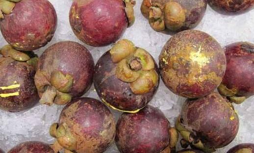 山竹皮能够直接泡水喝吗,山竹壳泡水吃有哪些功效