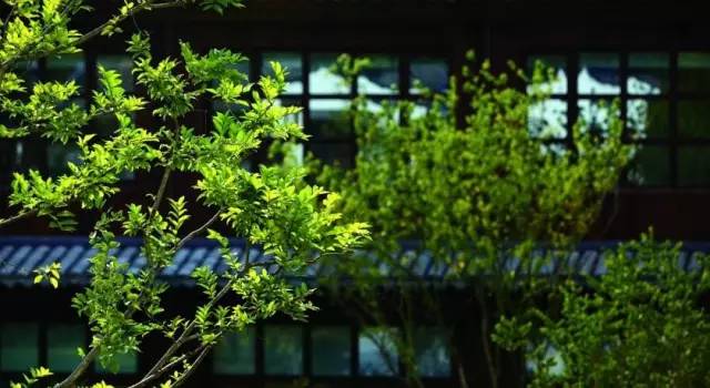 抵抗冬季抑郁，就要去这些世外山庄秘境