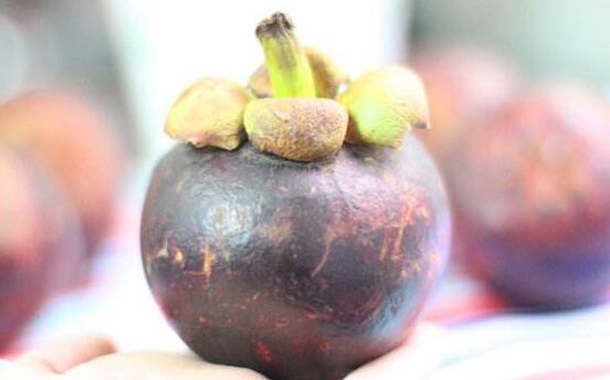 山竹皮能够直接泡水喝吗,山竹壳泡水吃有哪些功效