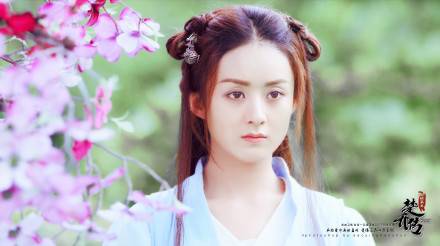 赵丽颖演公主的综艺,赵丽颖电视剧鲤鱼跳龙门