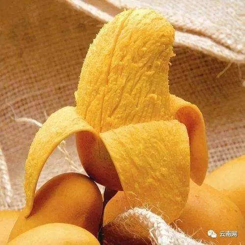 一男子喝了百草枯抢救27天死亡,小伙喝百草枯吐血纪录片