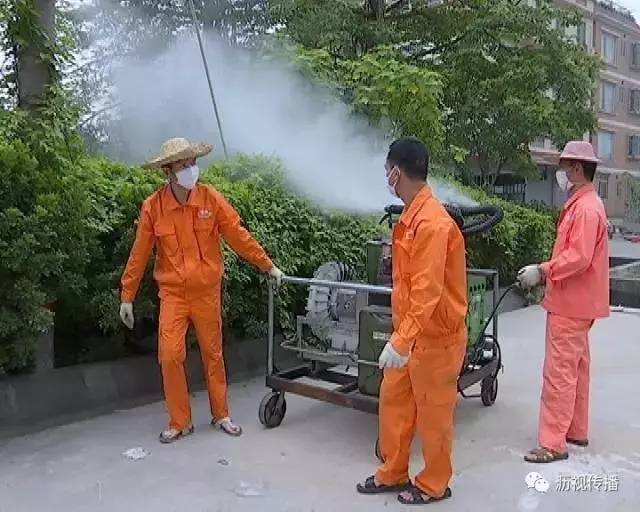 大沥四害消杀,大沥四害消杀上门服务