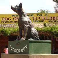 精灵宝可梦在现实中长什么样,精灵宝可梦到底是中国还是日本的